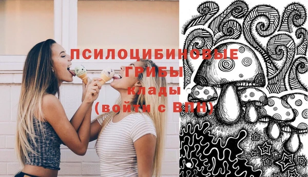 эйфоретик Алзамай