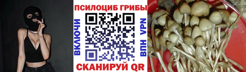 Псилоцибиновые грибы мицелий Медынь